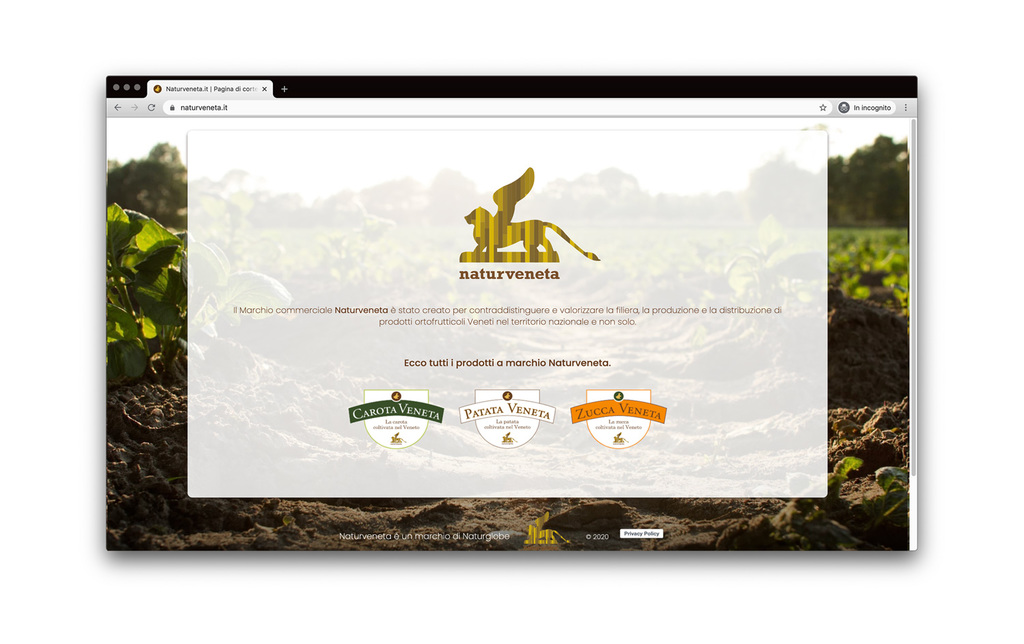 Anteprima sito desktop naturveneta